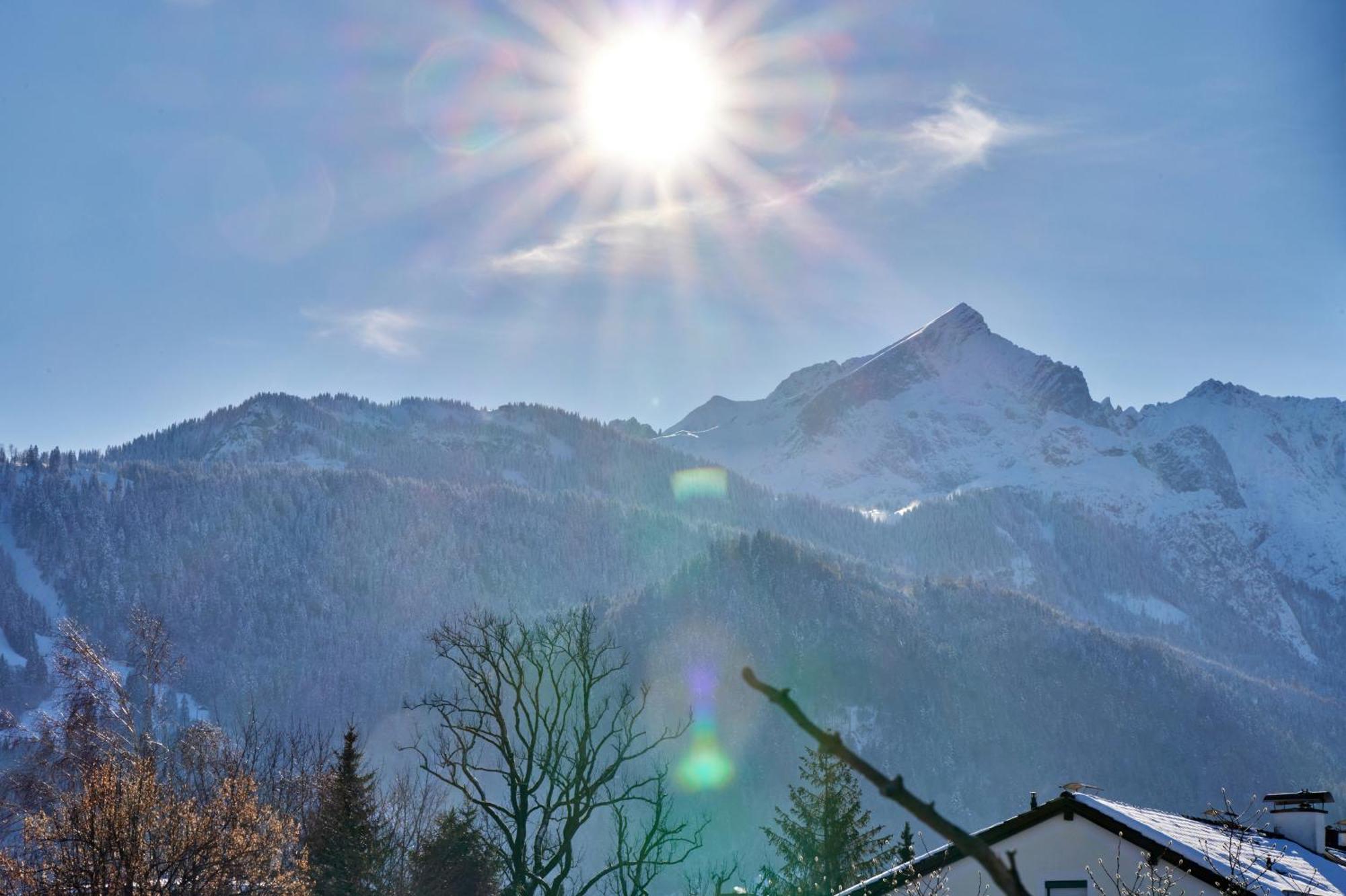 Alpenkate *
